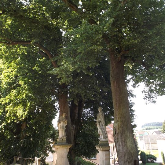 Lodhéřovské lípy u fary