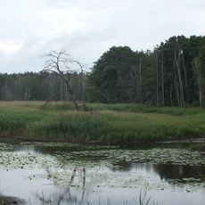 Alte Elster und Rohrbornwiesen bei Premsendorf