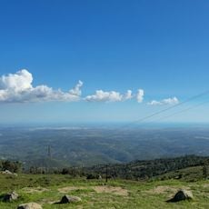 Viewpoint of the FOIA