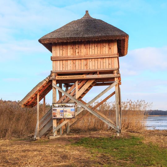 Musílkova ptačí pozorovatelna