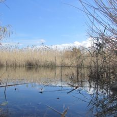 Ribera de la Algaida