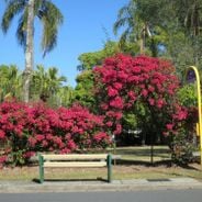 Dove antichi templi custodiscono le storie dimenticate del Punjab