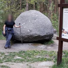 Category:Jesenický viklan