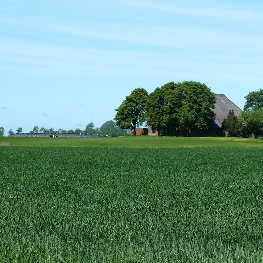 Terrein met een wierde