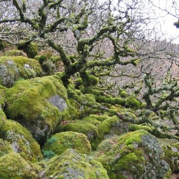 Sites naturels et historiques du Devon