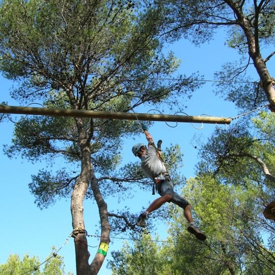 Le Royaume des Arbres