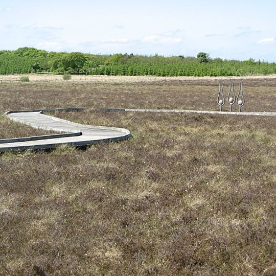 Blawhorn Moss National Nature Reserve