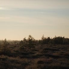 Mūšos Tyrelis Telmological Reserve