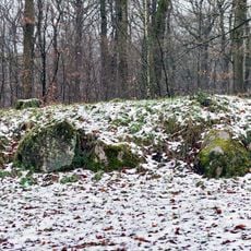 Langbett Albersdorf LA 56