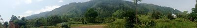 Panoramic View 1