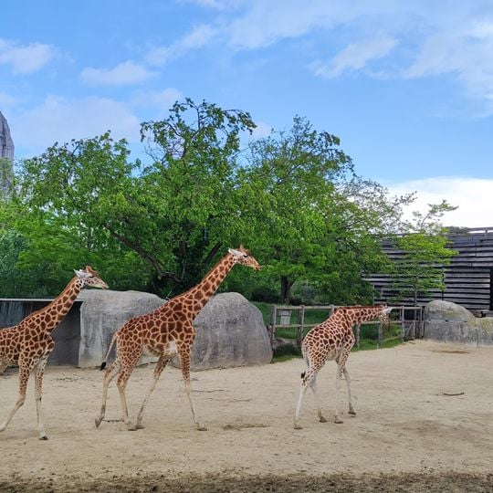Parc Zoologique de Paris