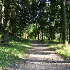 Park pałacowy w Puławach