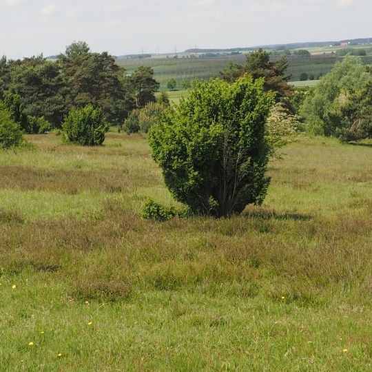 Naturschutzgebiet 'Sandharlander Heide'