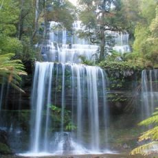 Mount Field National Park