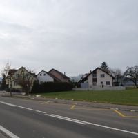 Boniswil