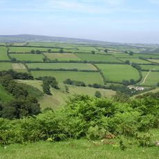 South Exmoor SSSI