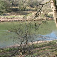 Graig Wood