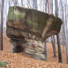 Nature reserve Kamień Grzyb