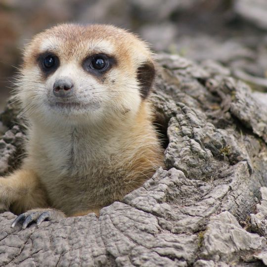 Erlebniswelt Seeteufel