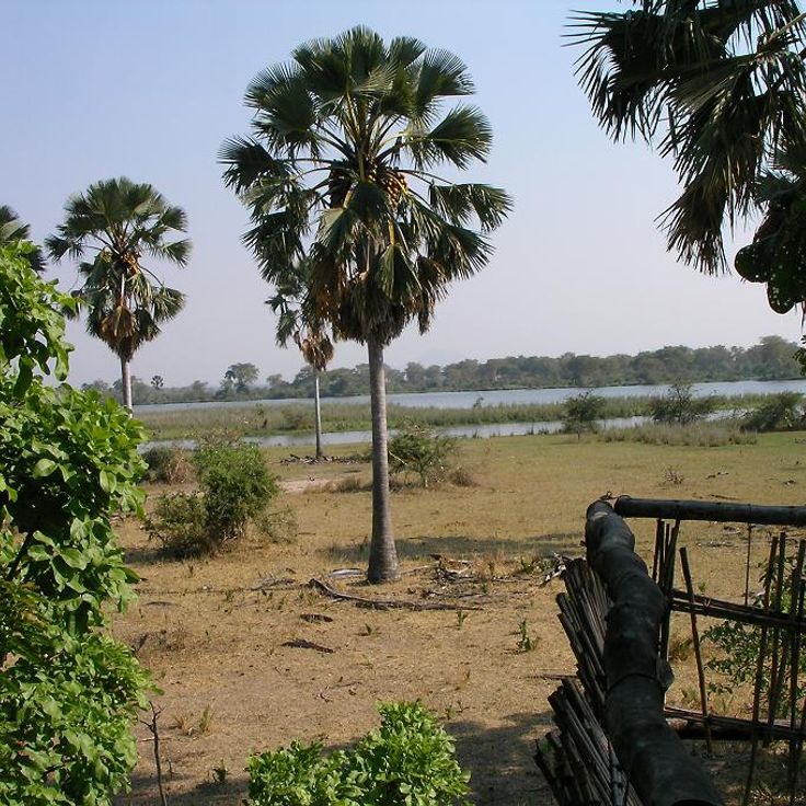 Liwonde nationalpark