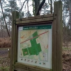 Wullebos