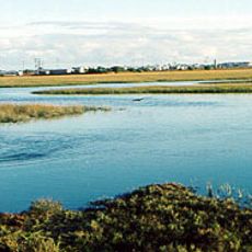 Seal Beach National Wildlife Refuge