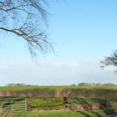 Terrein met een wierde (Swieringa's Polder II tegenover boerderij De Graslanden)