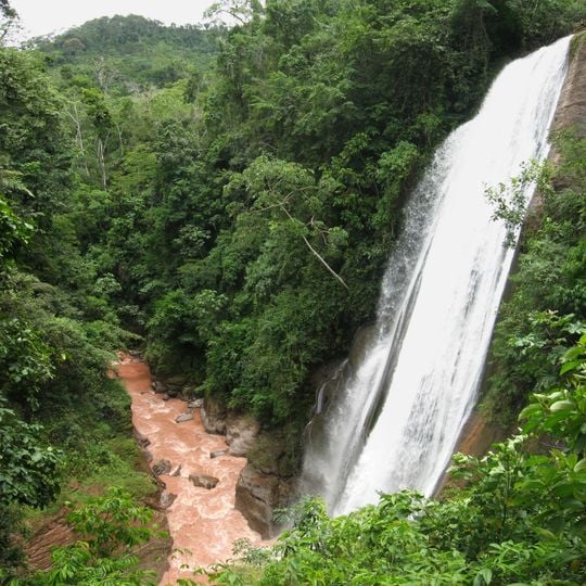 Velo de la Novia, Perené