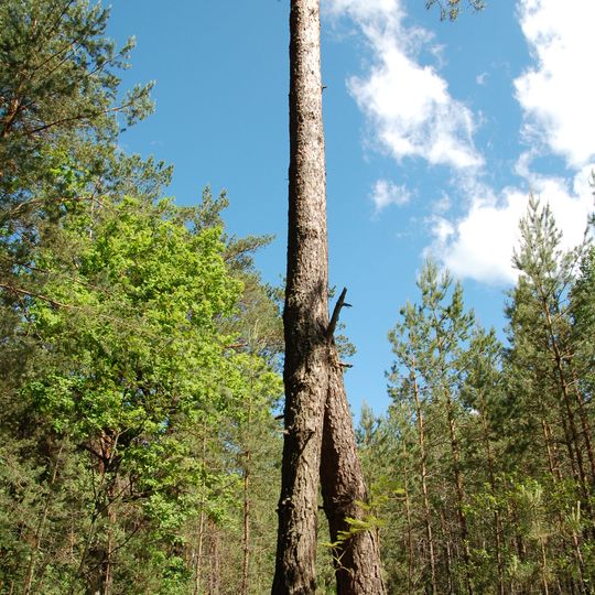 Naturschutzgebiet Bretsch