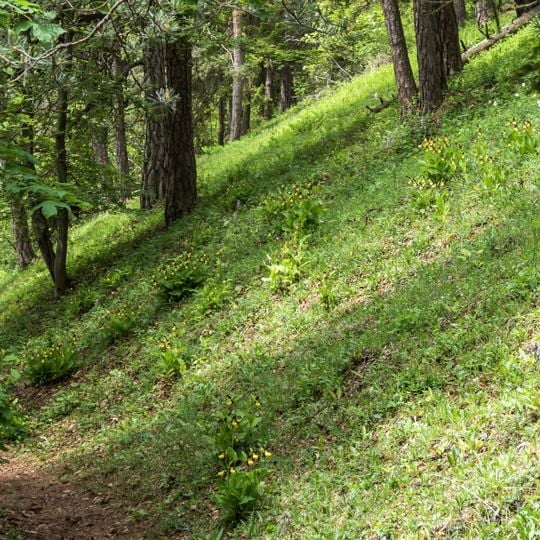 Muschelkalkhänge um Teichel und Großkochberg