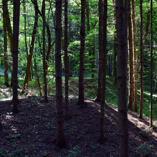 Römisches Hügelgräberfeld