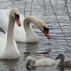 Taubertal in Mittelfranken