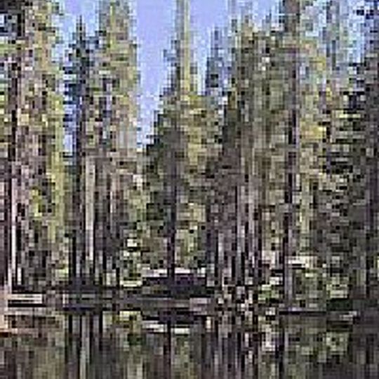 Bucks Lake Wilderness