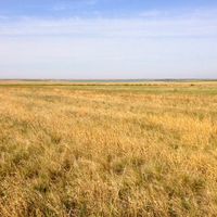 Horqin Right Front Banner