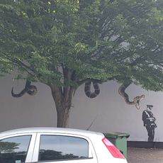 Peinture murale, œuvre d’art