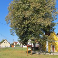 Černíč (Hradešice)