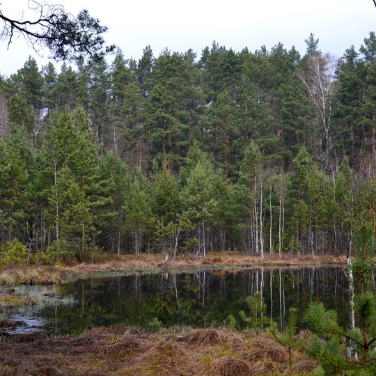 Kruchene ozero nature reserve