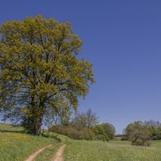 Schwarzachtal mit Nebentälern