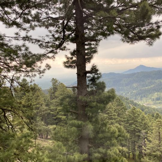 Distretto di Baramulla