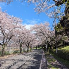 宇和田公園