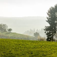 LSG-Blankenheimer Kalkruecken Nordost