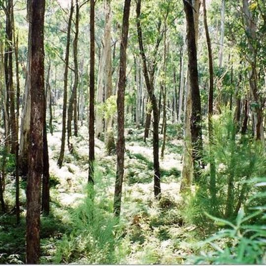 Parco nazionale di Monga