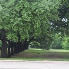 D. A. "Andy" Anderson Arboretum