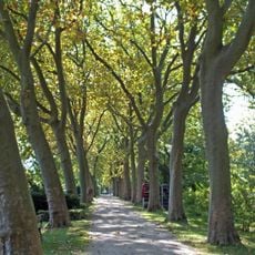 Friedhof Gohlis