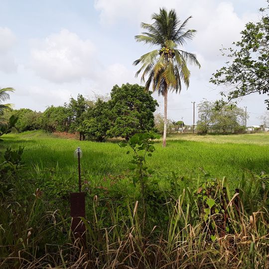 Golf école des Abymes