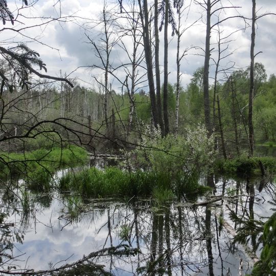 Pfrunger-Burgweiler Ried