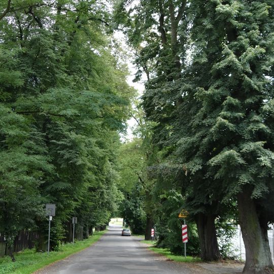 Zabytkowa aleja w Wielkich Drogach