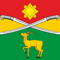 Shelopuginsky District