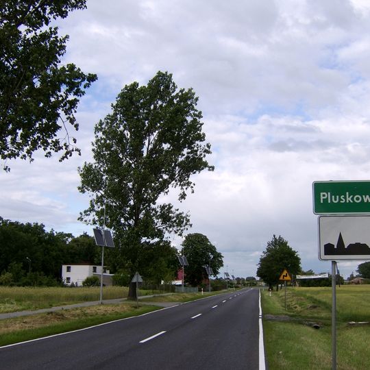 Pluskowęsy, Golub-Dobrzyń County
