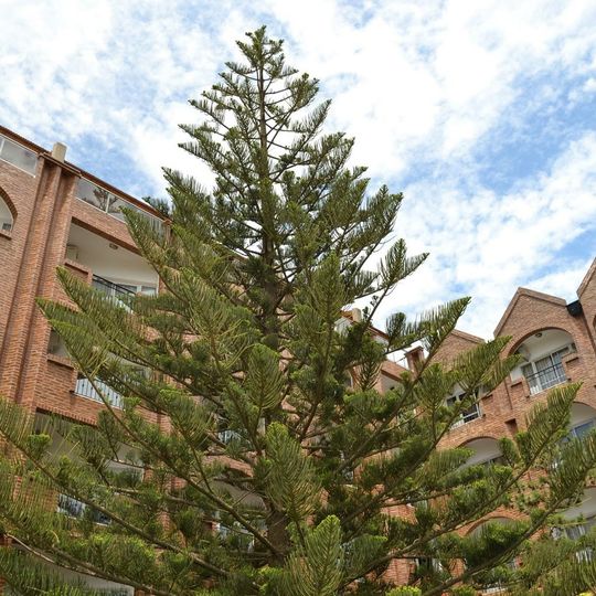 Hotel Costanera Mar